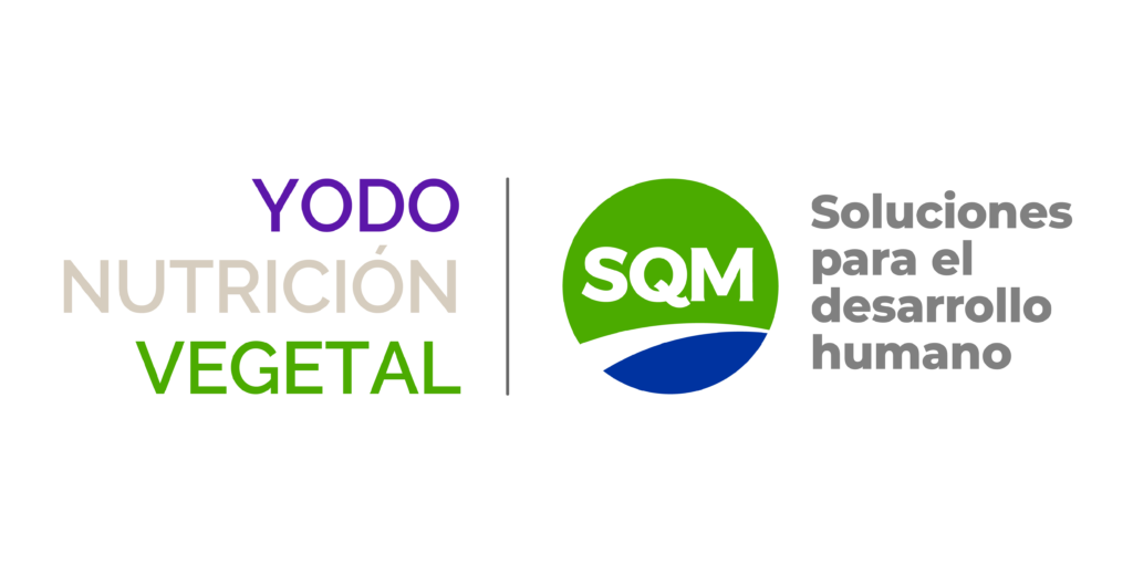 SQM, auspiciador de la categoría Cobre en Latin Rocks - Congresos de exploración minera y geología en Latinoamérica.