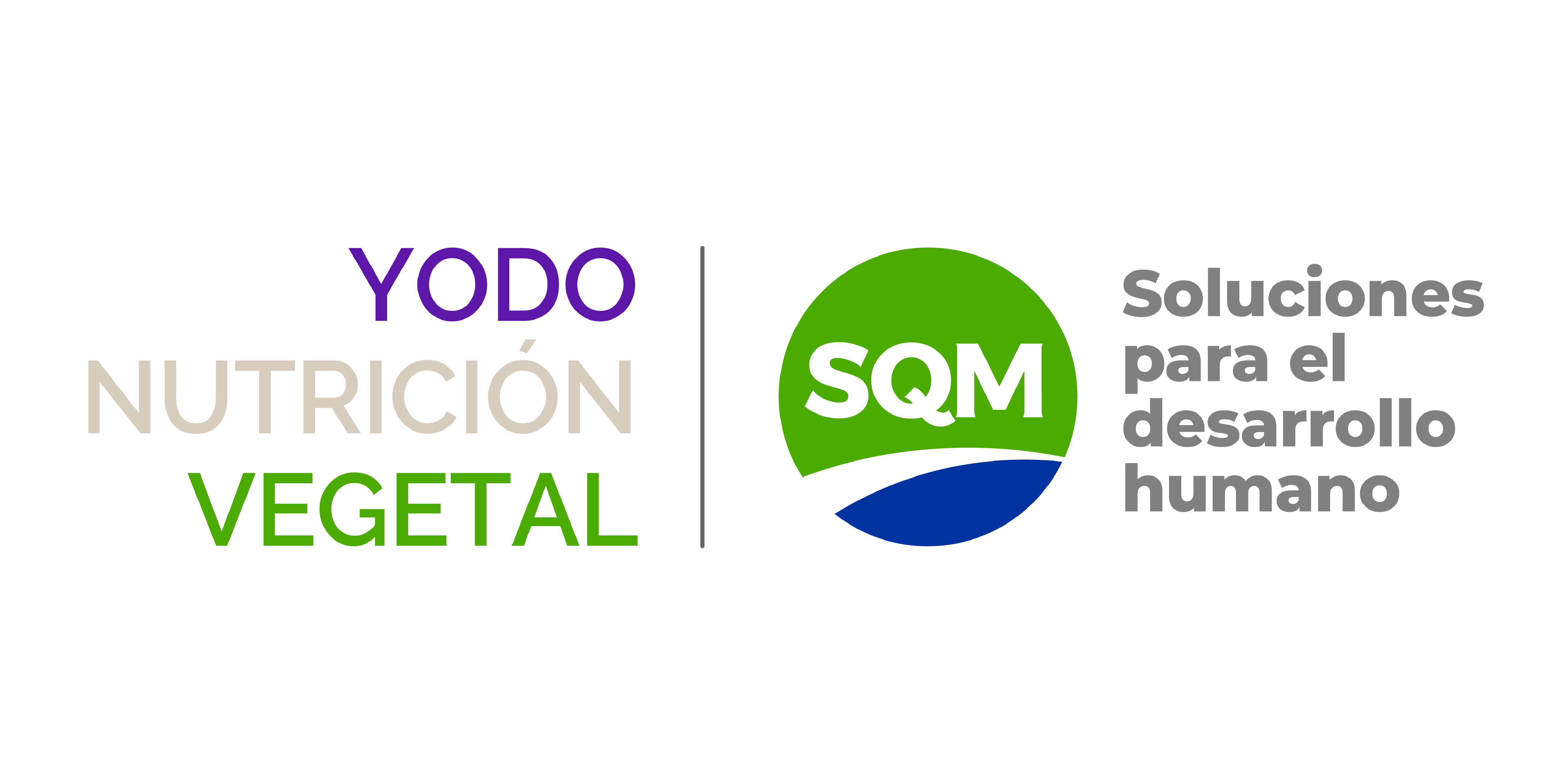 SQM, auspiciador de la categoría Cobre en Latin Rocks - Congresos de exploración minera y geología en Latinoamérica.